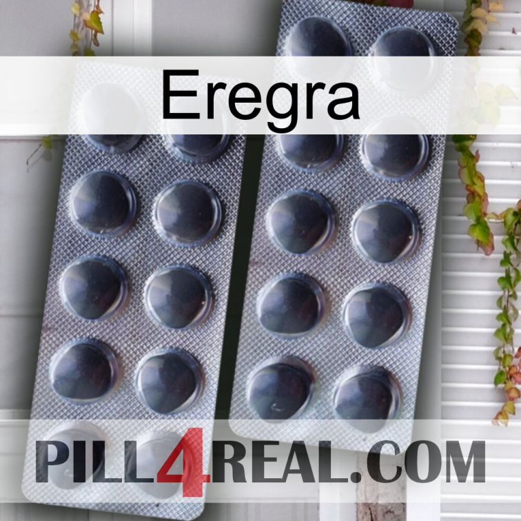Eregra 31